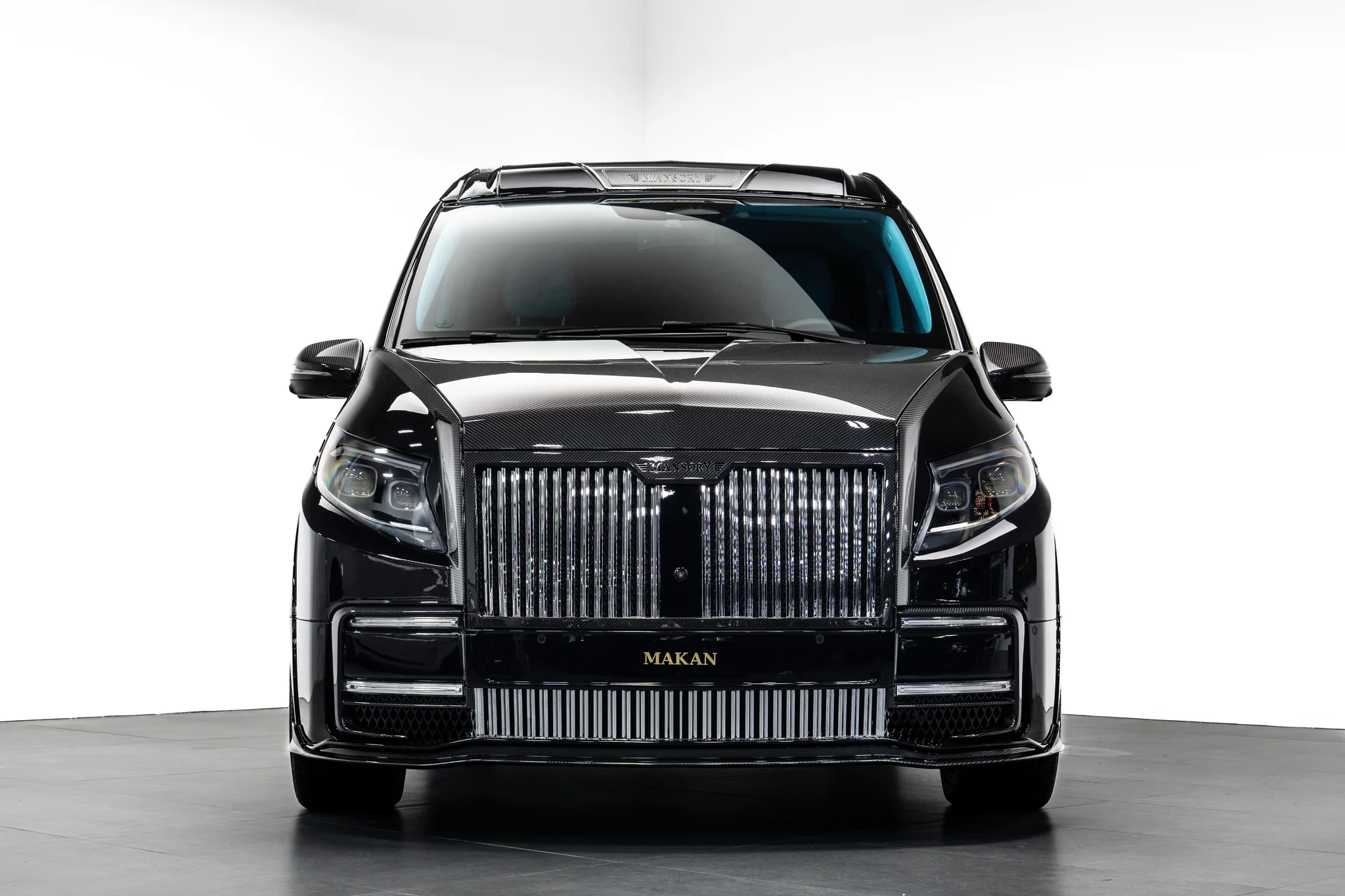 Mercedes-Benz V 300 L by Mansory, photograph 2